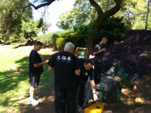 WhatsApp Image 2017-04-29 at 14.00.48